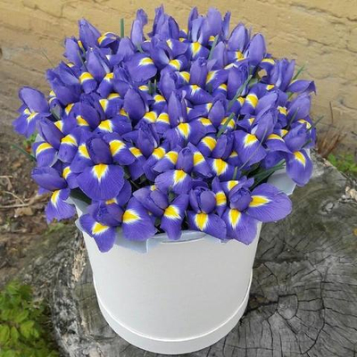 Шляпная коробочка из 51 ириса