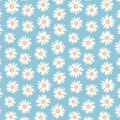 Ромашковое поле