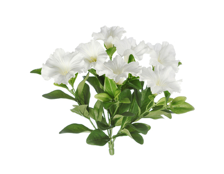 Петуния куст белый