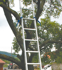 STABILO Лестница приставная, 12 перекладин (133106)