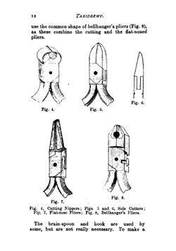 Taxidermy: comprising the skinning, stuffing, and mounting of birds, mammals, and fish | Paul N. Hasluck