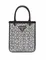 Мини-сумка Prada Duchess с кристаллами серебряный