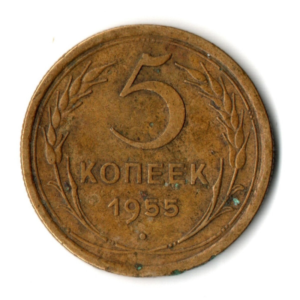 5 копеек 1955 год СССР VF