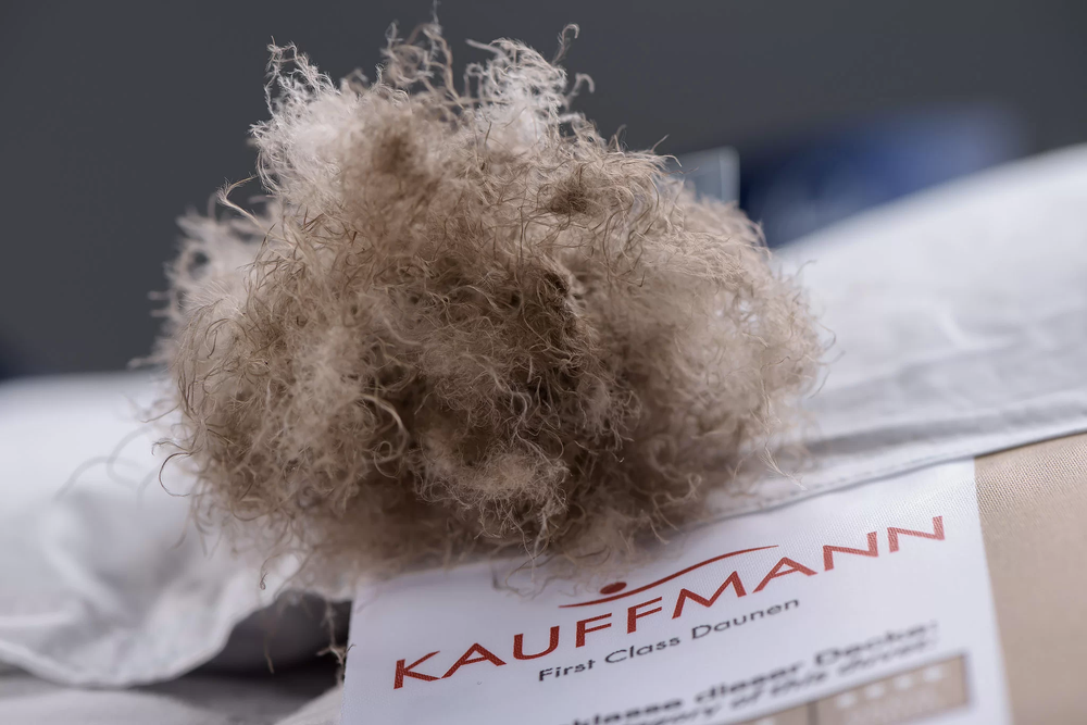 Одеяло всесезонное 200х220 Kauffmann Королева ночи