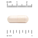 Super Nutrition, Boswellia Phytosome, фитосома босвеллии пильчатой с подсолнечным лецитином, 250 мг, 60 растительных капсул