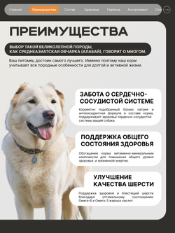 Корм сухой для взрослых собак породы Среднеазиатская овчарка (Алабай), премиум полнорационный комплекс, с индейкой, 12 кг, QUATTRO