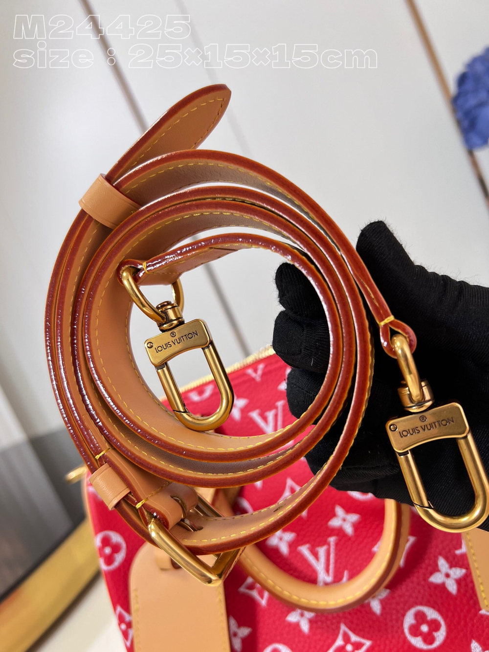Louis Vuitton Speedy P9 Bandouliere 25