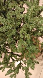 Искусственная ель на ножке «Датская» (Литая хвоя) высота от 1.2 м до 2.4 м