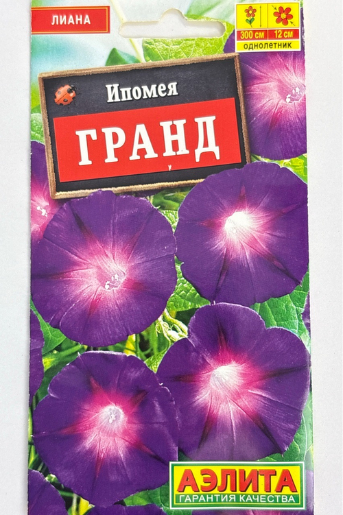 Ипомея Гранд СМЦ-518