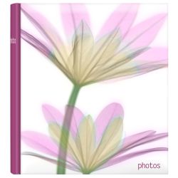 Innova Q6708443 Фотоальбом в ассортименте (3 дизайна) Цветы новая серия 100 страниц 29*32, под угол | Innova