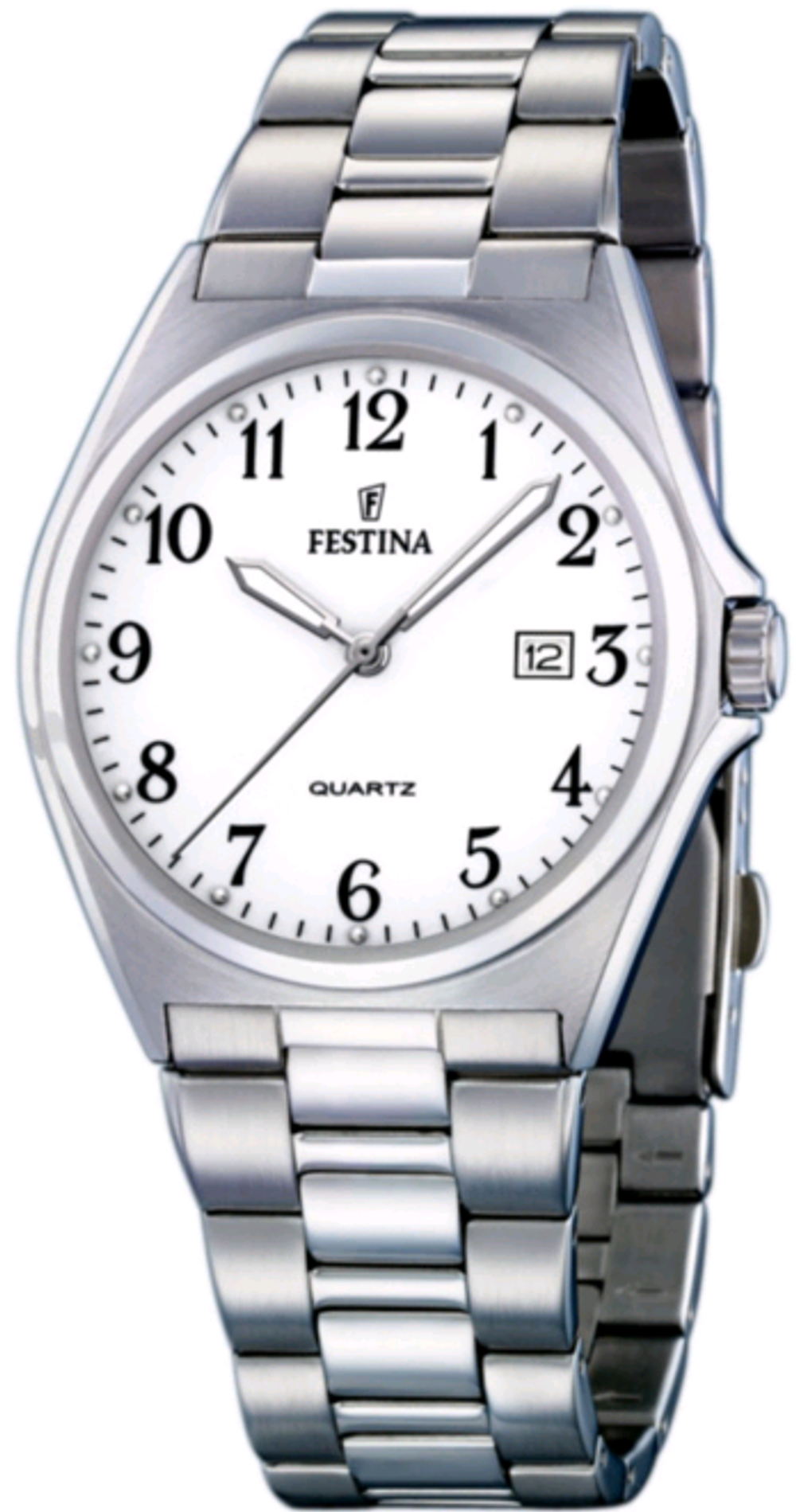 Мужские наручные часы Festina F16374/1