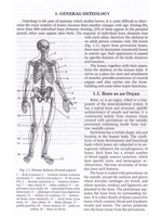 Anatomy of Bone System: The manual for medical students / Анатомия костной системы. Учебное пособие для медицинских вузов