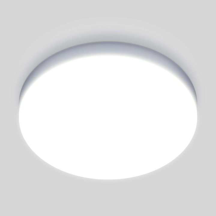 Потолочный светодиодный светильник Elektrostandard DLR043 10W 4200K a047940