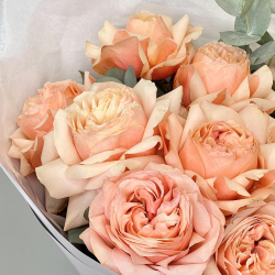 «Крем-брюле» букет из пионовидных роз Кахала с эвкалиптом