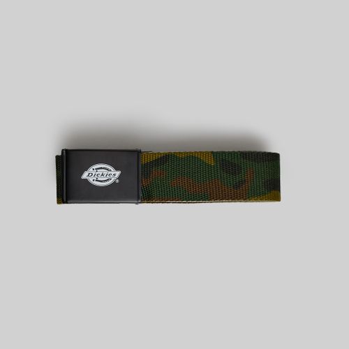 Ремень Dickies Orcutt Webbing Belt артикул:DK0A4X7ECF01 - купить в магазине Дайс