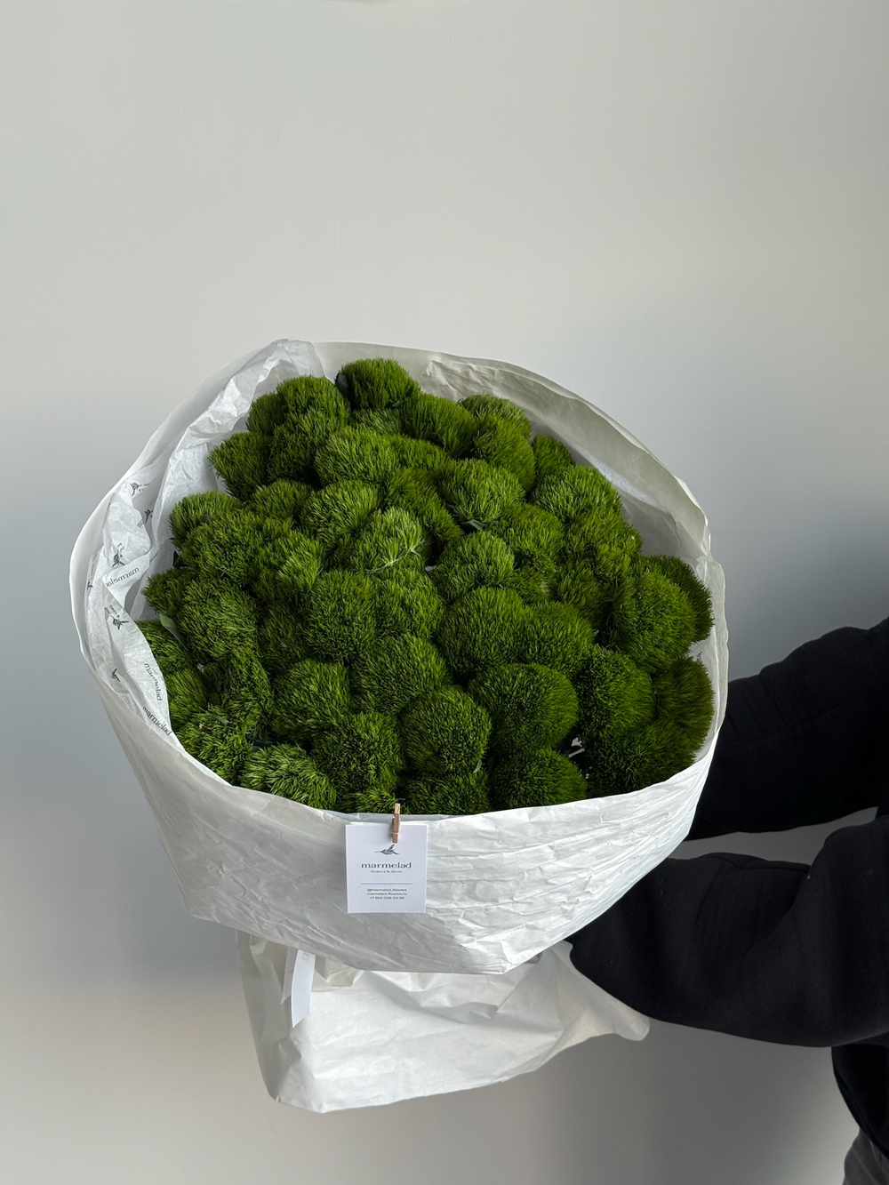 Моно букет из диантусов сорта Грин трик 51 шт