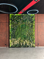 Вертикальное озеленение искусственными растениями автосалона «100 машин»