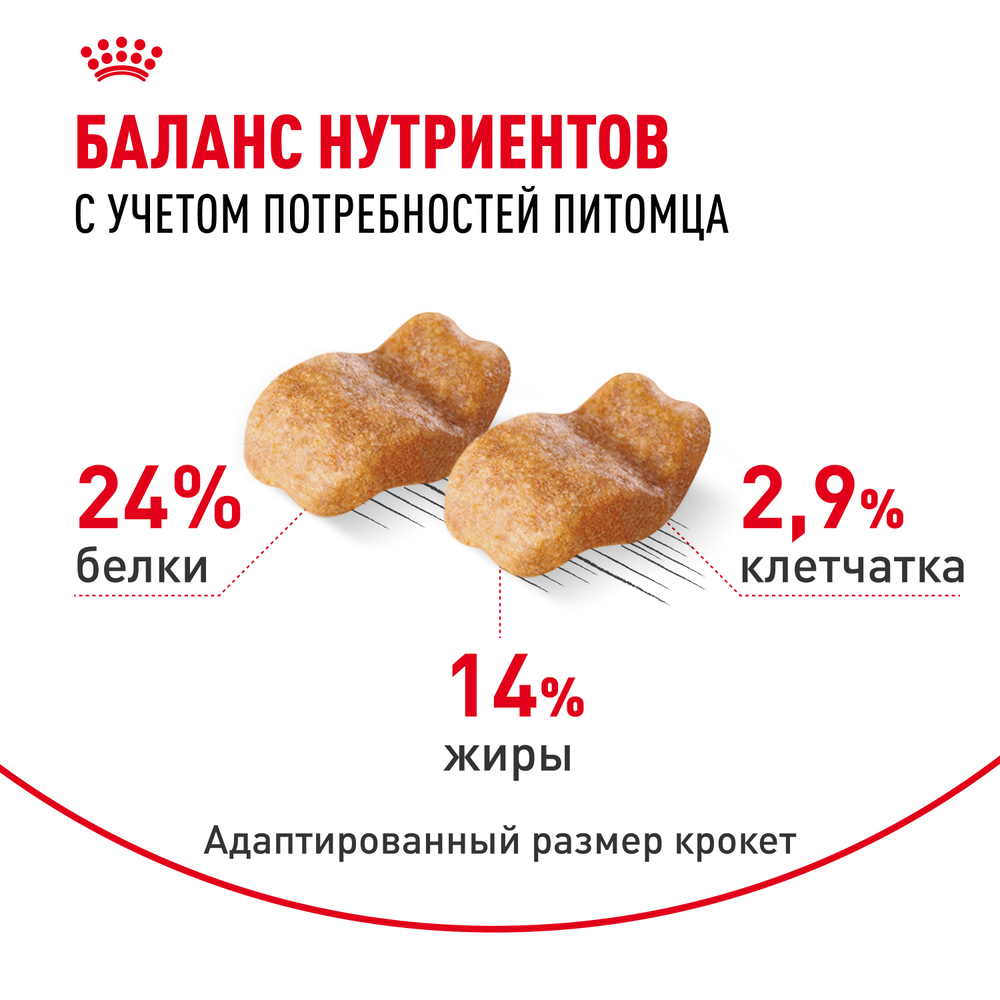 Royal Canin Bulldog Adult (БУЛЬДОГ ЭДАЛТ) Корм сухой для взрослых собак породы Бульдог от 12 месяцев 3кг