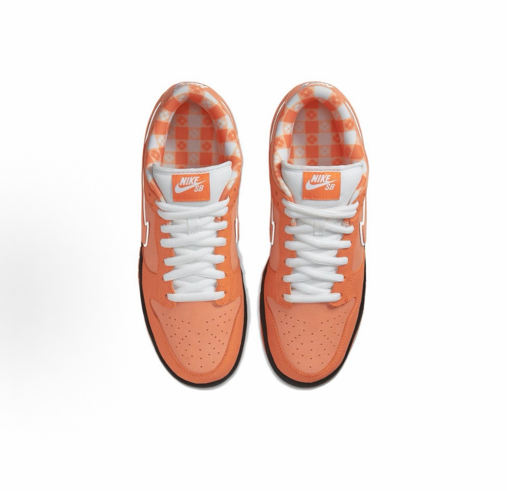 Nike SB x Concepts Design Orange Lobster Special Box