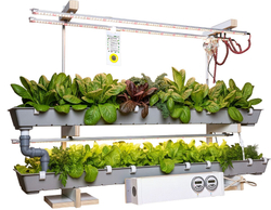 КЛО «От зародыша до взрослого растения (организма)» с принадлежностями