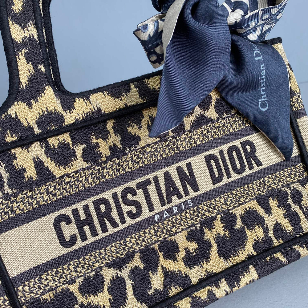 Christian Dior Mini Book Tote
