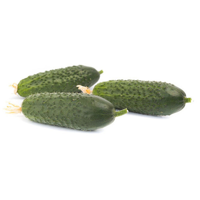 Кибрия F1 семена огурца партенокарпического (Rijk Zwaan / Райк Цваан)