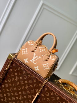 Louis Vuitton Speedy 20
