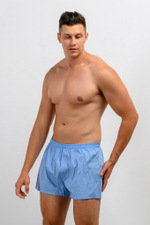 Трусы Боксеры голубые EFERLA