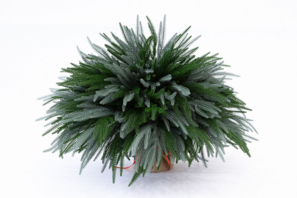 Искусственная Туя складчатая зелено-голубая (Литая хвоя) 55 см