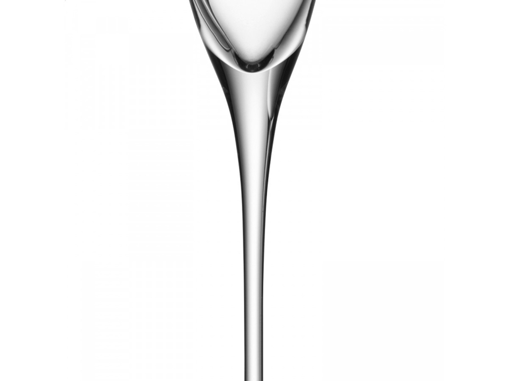 Набор из 4-х бокалов для шампанского Wine 160 мл