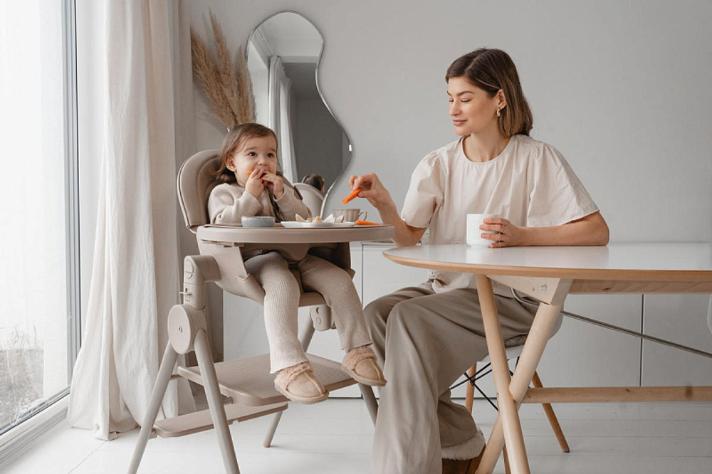 Стул-трансформер для кормления Anex Ozy fluff