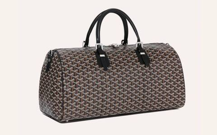 Дорожная сумка Goyard