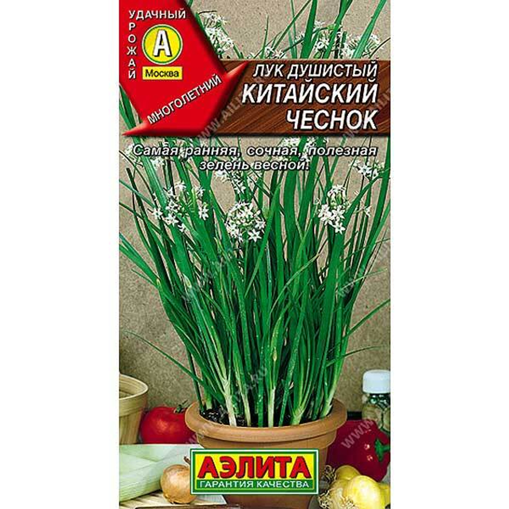 Лук душистый Китайский чеснок Аэлита Ц