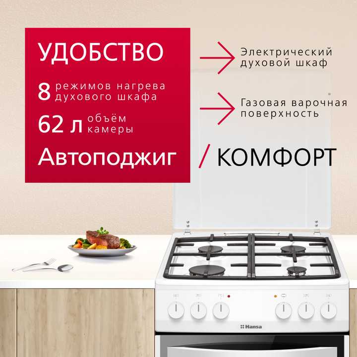 Комбинированная плита Hansa FCMW580957