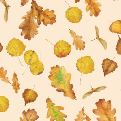 Осенние листья на бежевом 2