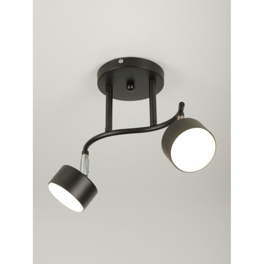 Светильник настенно-потолочный спот Rivoli   7074-702 2хGX53 15 Вт поворотный