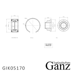 Подшипник ступицы передний HYUNDAI i10/KIA GANZ GIK05170