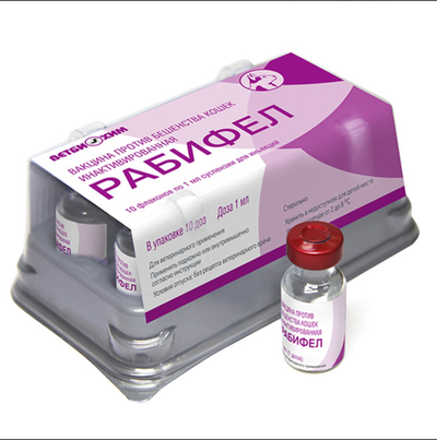 Вакцина РАБИФЕЛ против бешенства кошек инактивированной