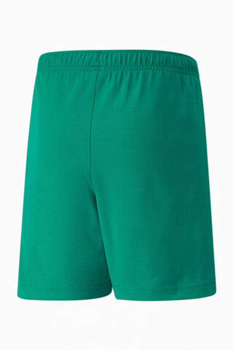 Шорты Puma teamRISE Junior