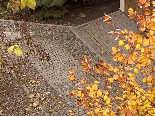 Брусчатка песчаник колотый