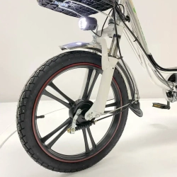Электровелосипед Green Camel Транк 18 V8