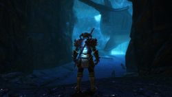 Kingdoms of Amalur: Re-Reckoning - Fatesworn (для ПК, цифровой код доступа)