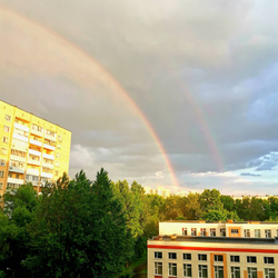 Грифон
