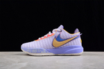 Купить в Москве баскетбольные кроссовки  Nike LeBron 20 Violet Frost