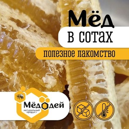 МЁД В СОТАХ