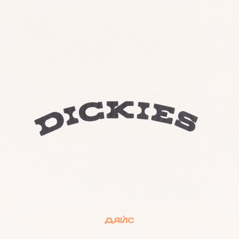 Футболка мужская Dickies Outdoor артикул:DK0A4Z8PC481 - купить в магазине Дайс