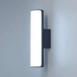 Citilux GARDA CLU0007 LED Уличный светильник Графит