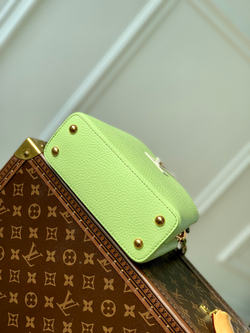 Louis Vuitton Capucines Mini