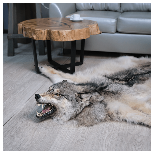 Шкура волка «Таймырский хищник»