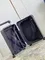 ЧЕМОДАН LOUIS VUITTON HORIZON Damier Graphite
